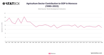 Agriculture Sector Contribution to GDP in Morocco (1990-2022)
