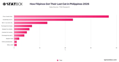 How Filipinos Got Their Last Cat in Philippines 2026