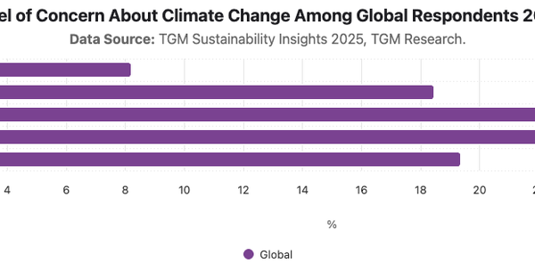 Level of Concern About Climate Change Among Global Respondents  2025|Chart|TGM StatBox