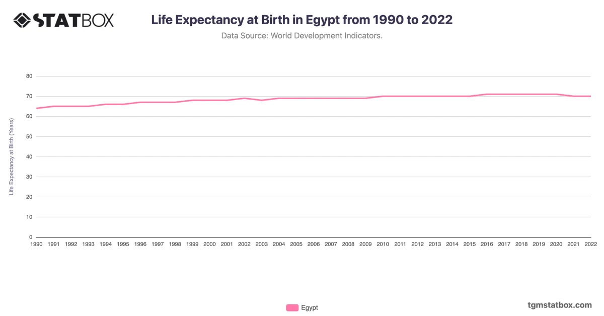 Life Expectancy at Birth in Egypt from 1990 to 2022