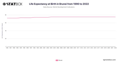 Life Expectancy at Birth in Brunei from 1990 to 2022