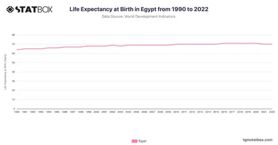 Life Expectancy at Birth in Egypt from 1990 to 2022