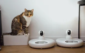 Not All Pet Owners Want the Same Tech in APAC | TGM StatBox