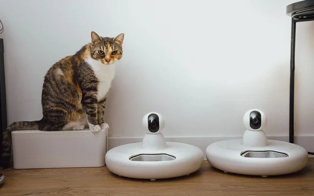 Not All Pet Owners Want the Same Tech in APAC | TGM StatBox