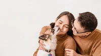 Pets Take on Bigger Emotional Role for China Gen Z | TGM StatBox