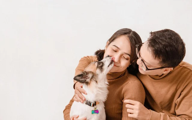 Pets Take on Bigger Emotional Role for China Gen Z | TGM StatBox