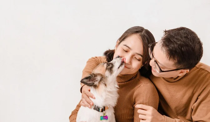 Pets Take on Bigger Emotional Role for China Gen Z | TGM StatBox