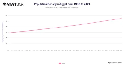 Population Density in Egypt from 1990 to 2021
