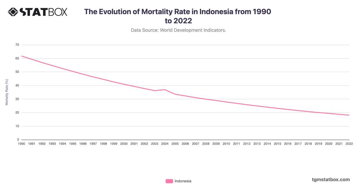 The Evolution of Mortality Rate in Indonesia from 1990 to 2022