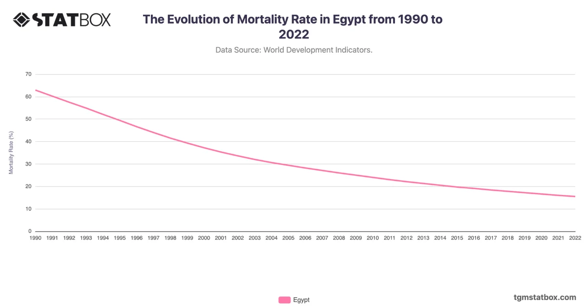 The Evolution of Mortality Rate in Egypt from 1990 to 2022