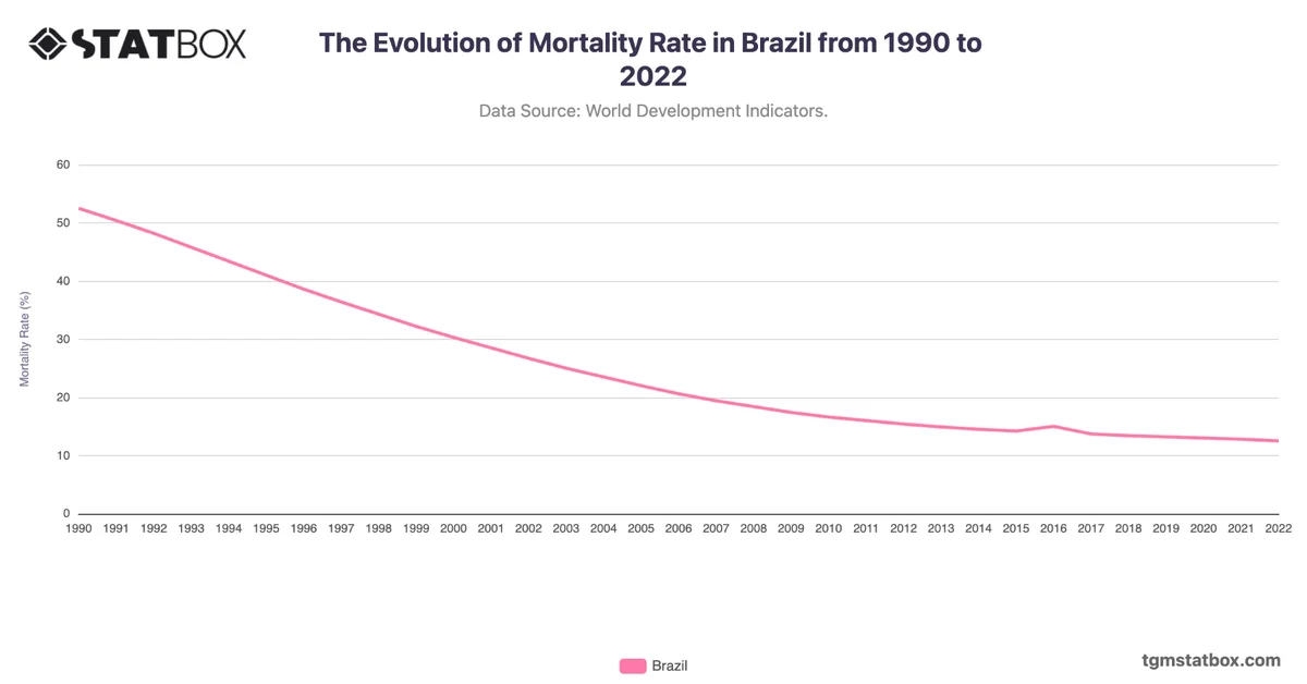The Evolution of Mortality Rate in Brazil from 1990 to 2022