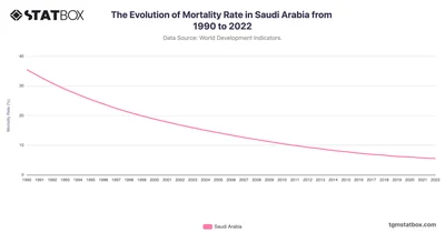 The Evolution of Mortality Rate in Saudi Arabia from 1990 to 2022
