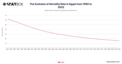 The Evolution of Mortality Rate in Egypt from 1990 to 2022