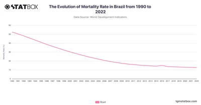 The Evolution of Mortality Rate in Brazil from 1990 to 2022