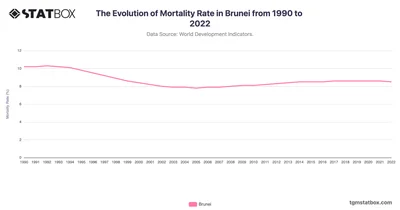 The Evolution of Mortality Rate in Brunei from 1990 to 2022