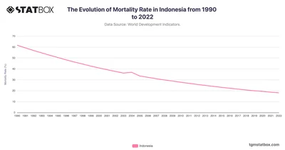 The Evolution of Mortality Rate in Indonesia from 1990 to 2022