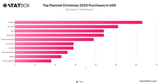 Top Planned Christmas 2025 Purchases in USA