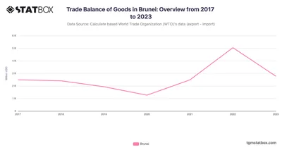 Trade Balance of Goods in Brunei: Overview from 2017 to 2023