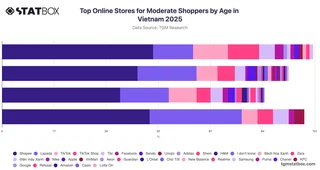 Top Online Stores for Moderate Shoppers by Age in Vietnam 2025