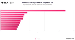 Most Popular Dog Breeds in Belgium 2023