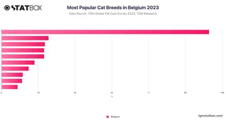 Most Popular Cat Breeds in Belgium 2023