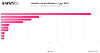 Most Popular Cat Breeds in Egypt 2023