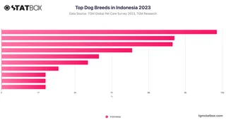 Top Dog Breeds in Indonesia 2023