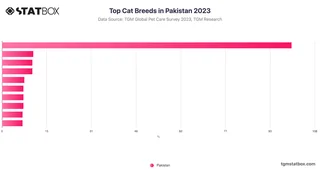 Top Cat Breeds in Pakistan 2023
