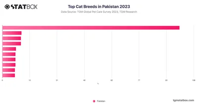 Top Cat Breeds in Pakistan 2023