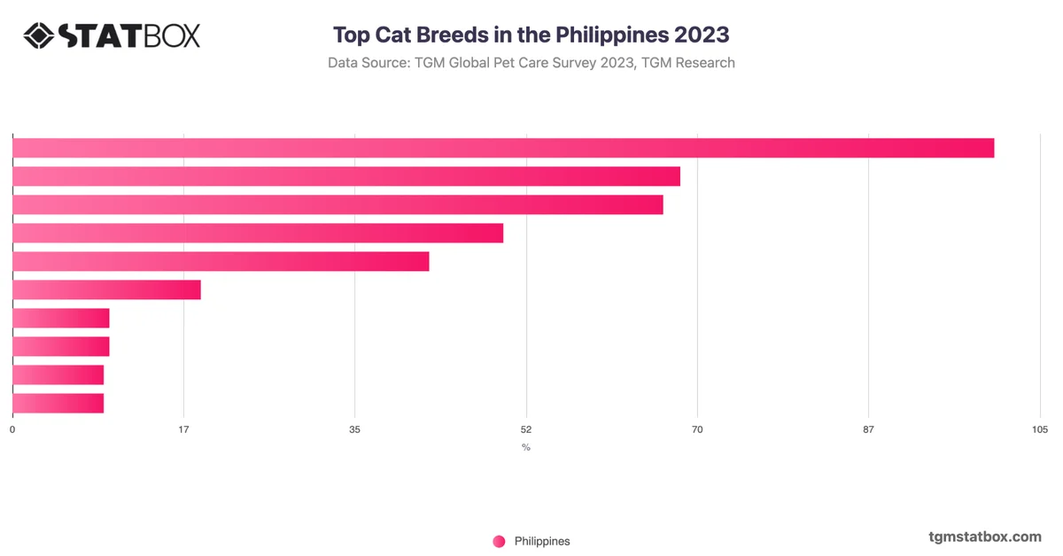 Top Cat Breeds in the Philippines 2023