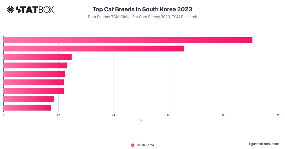 Top Cat Breeds in South Korea 2023