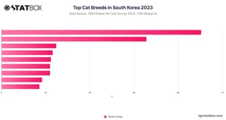 Top Cat Breeds in South Korea 2023