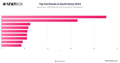 Top Cat Breeds in South Korea 2023