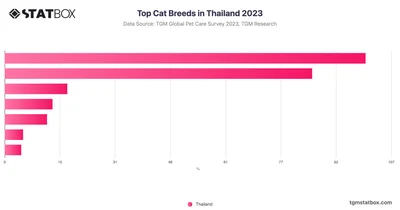Top Cat Breeds in Thailand 2023