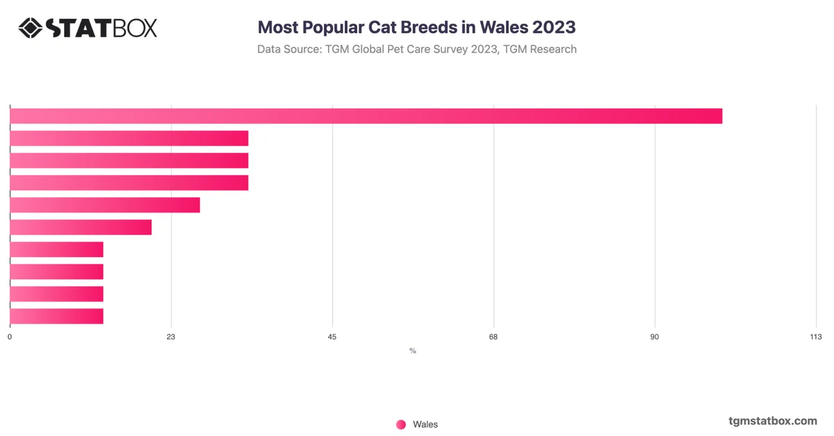 Most Popular Cat Breeds in Wales 2023