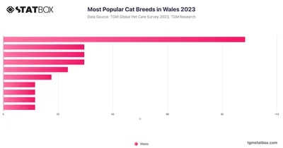 Most Popular Cat Breeds in Wales 2023