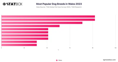 Most Popular Dog Breeds in Wales 2023