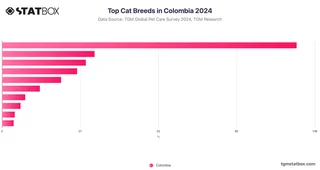 Top Cat Breeds in Colombia 2024