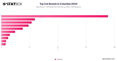 Top Cat Breeds in Colombia 2024