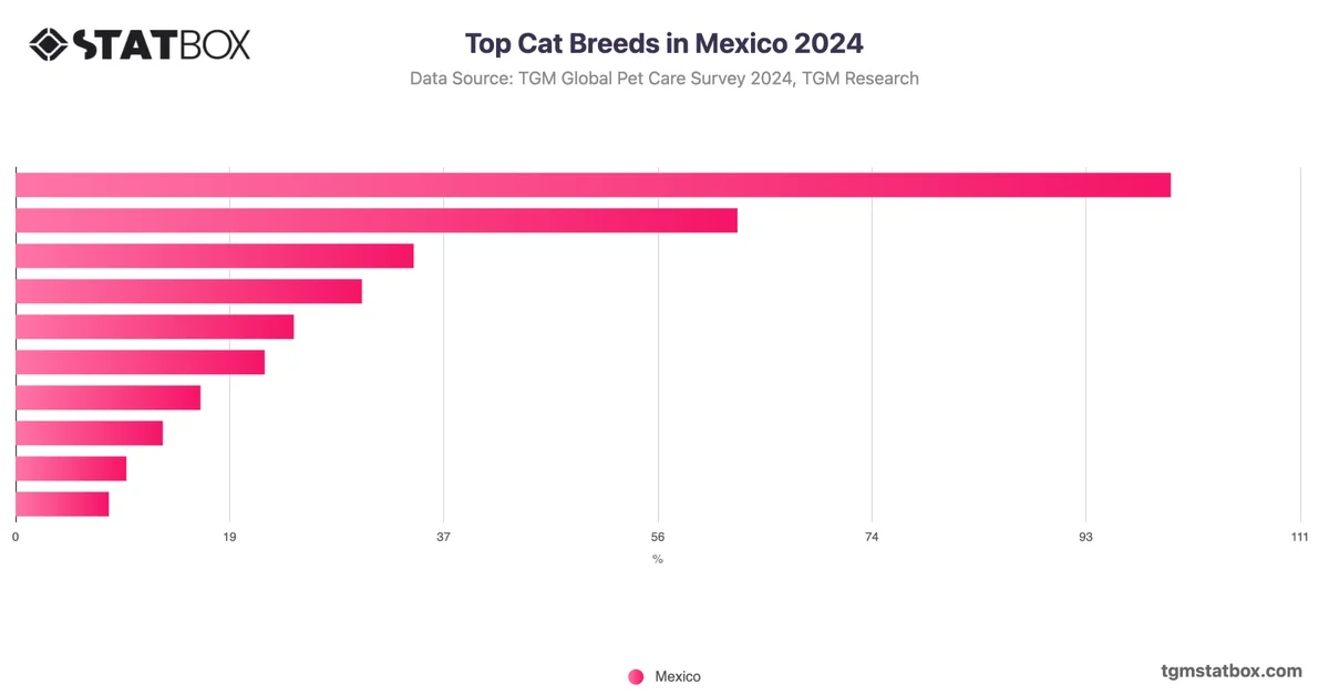 Top Cat Breeds in Mexico 2024