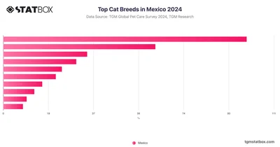 Top Cat Breeds in Mexico 2024