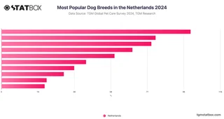 Most Popular Dog Breeds in the Netherlands 2024