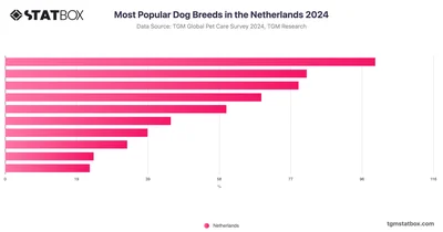 Most Popular Dog Breeds in the Netherlands 2024