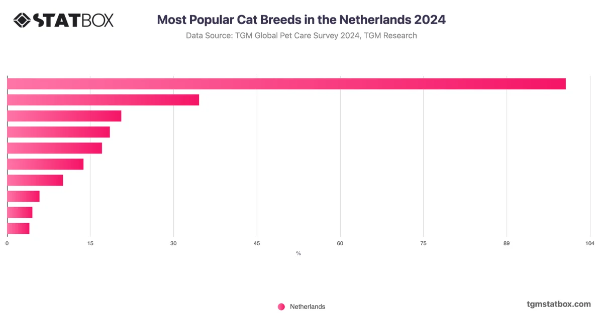 Most Popular Cat Breeds in the Netherlands 2024
