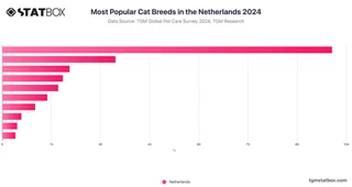 Most Popular Cat Breeds in the Netherlands 2024