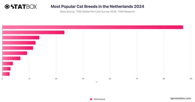 Most Popular Cat Breeds in the Netherlands 2024