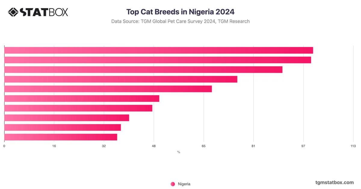 Top Cat Breeds in Nigeria 2024