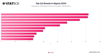 Top Cat Breeds in Nigeria 2024