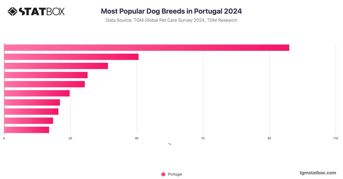 Most Popular Dog Breeds in Portugal 2024