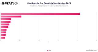 Most Popular Cat Breeds in Saudi Arabia 2024